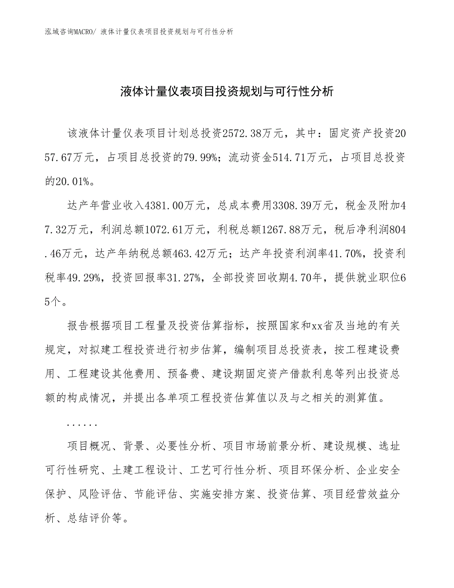 液体计量仪表项目投资规划与可行性分析_第1页