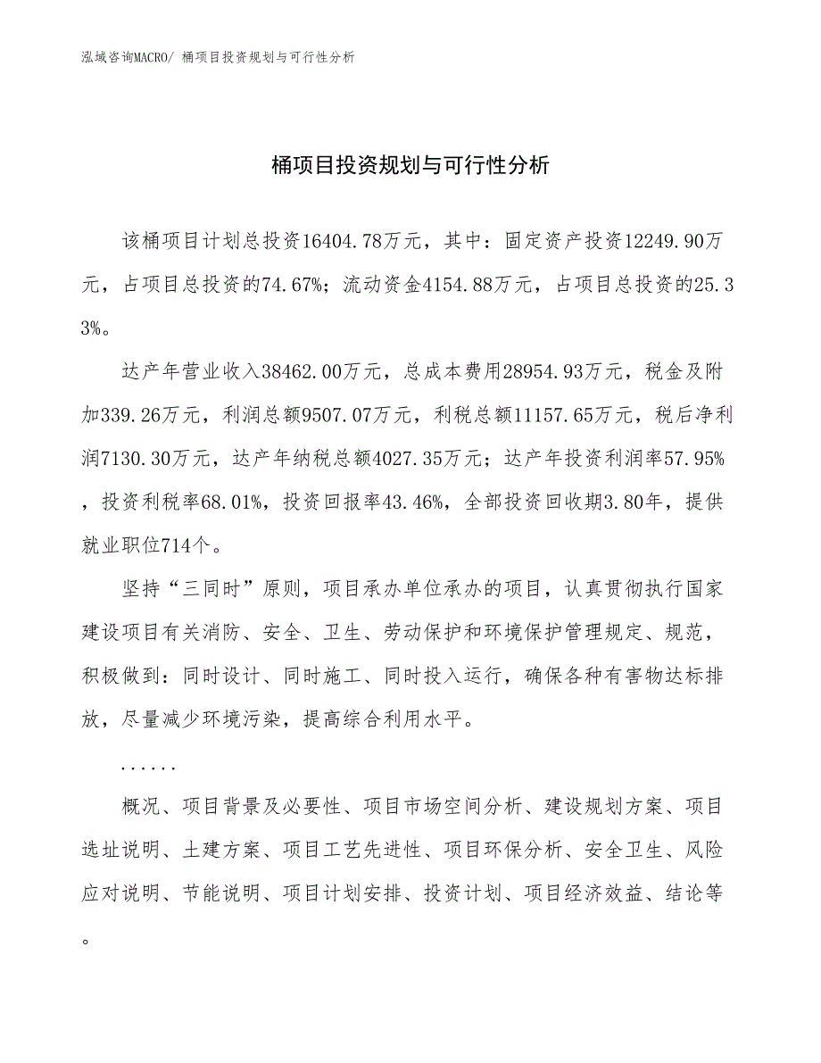 桶项目投资规划与可行性分析_第1页