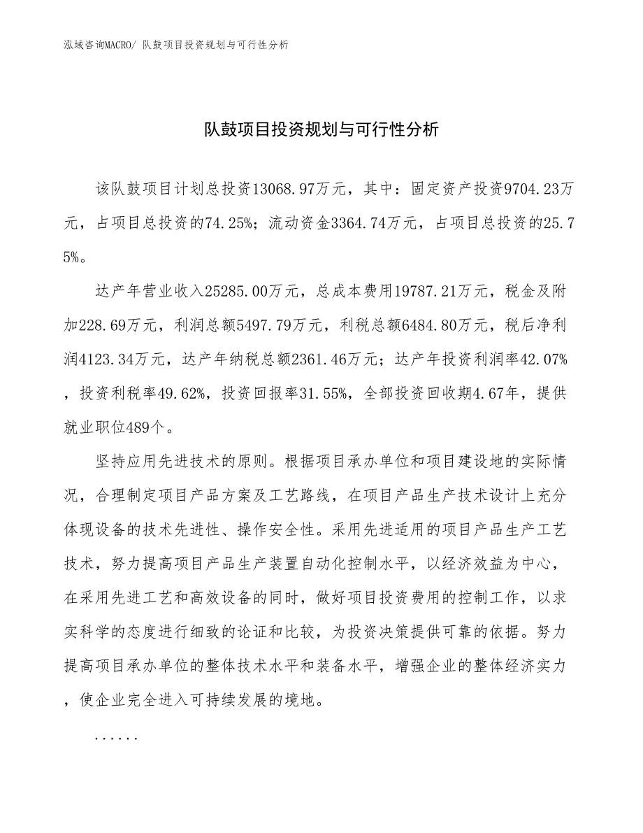 队鼓项目投资规划与可行性分析_第1页