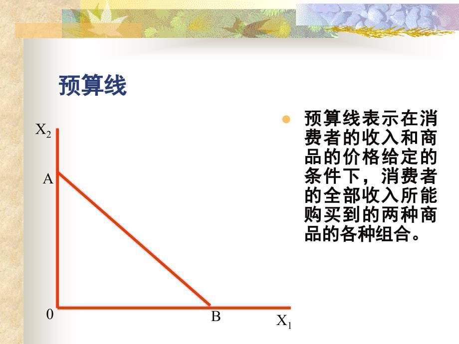 消费者均衡及其变动_第5页