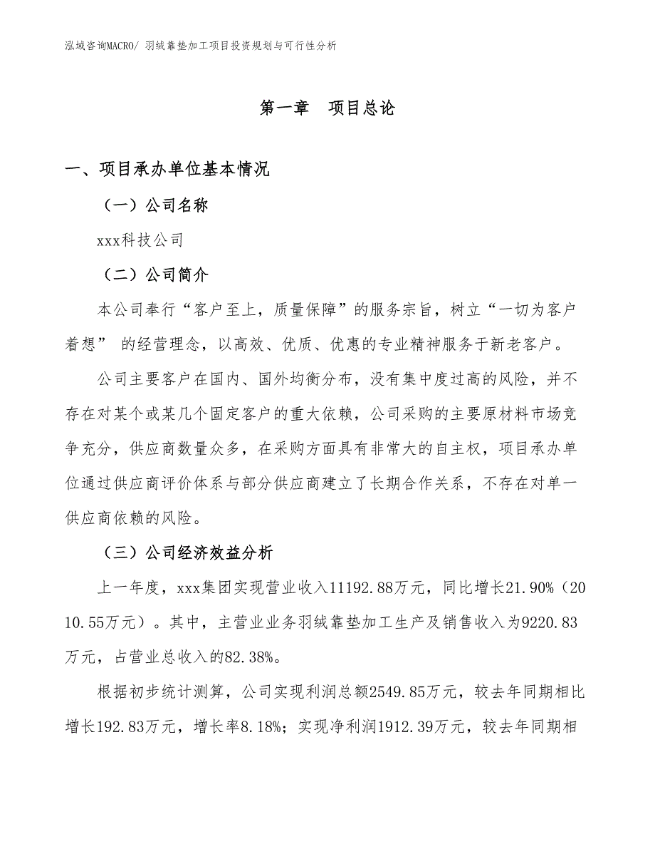 羽绒靠垫加工项目投资规划与可行性分析_第2页