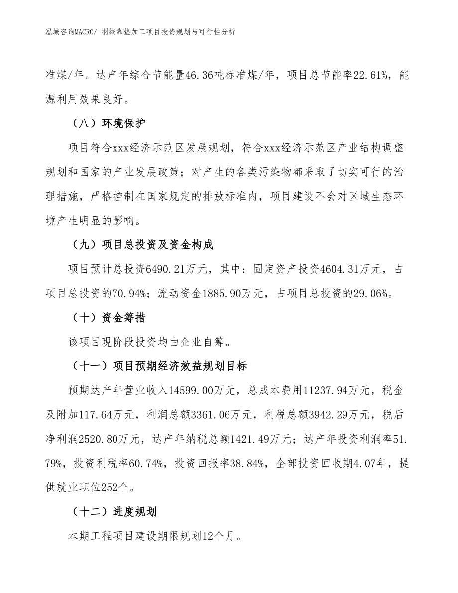 羽绒靠垫加工项目投资规划与可行性分析_第5页