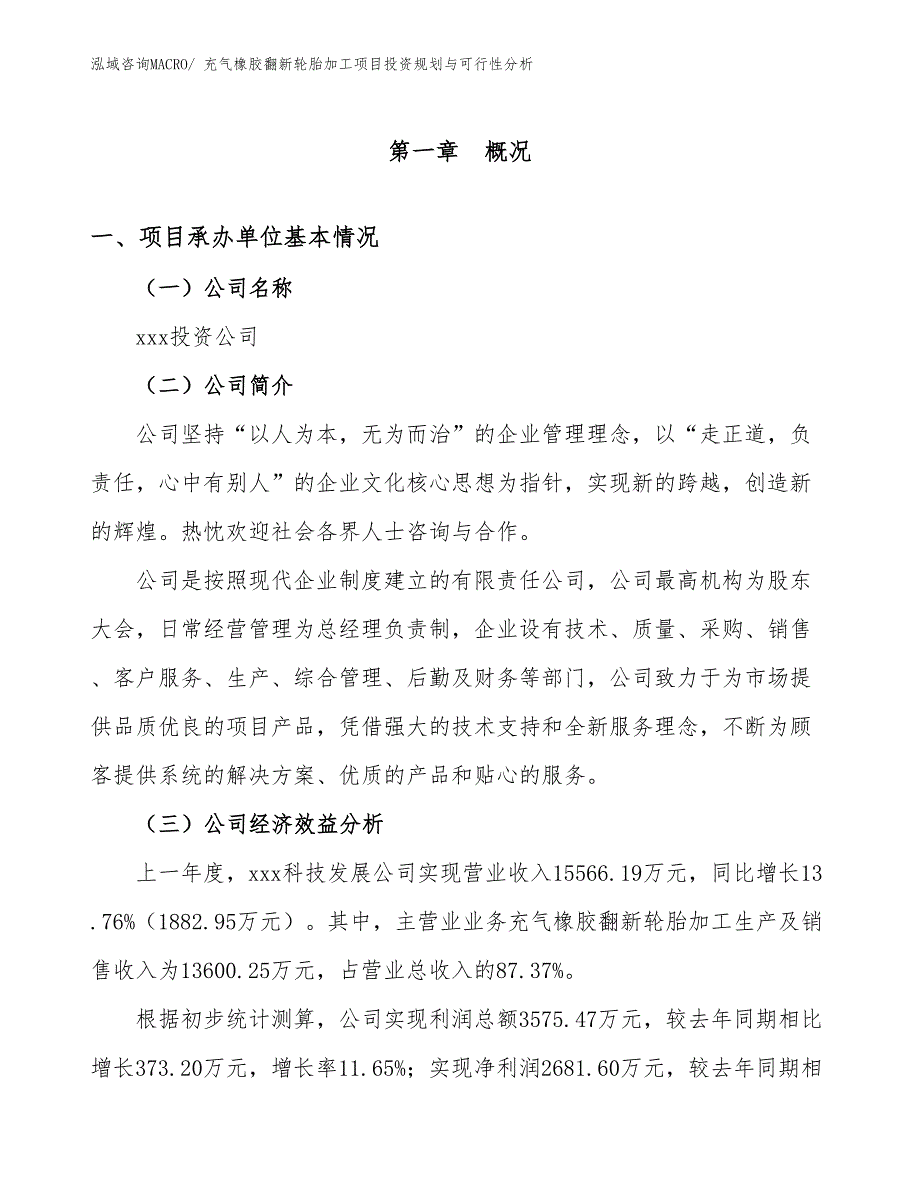 充气橡胶翻新轮胎加工项目投资规划与可行性分析_第3页