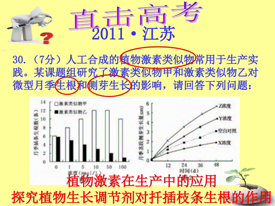 生长素的生理作用复习_第4页