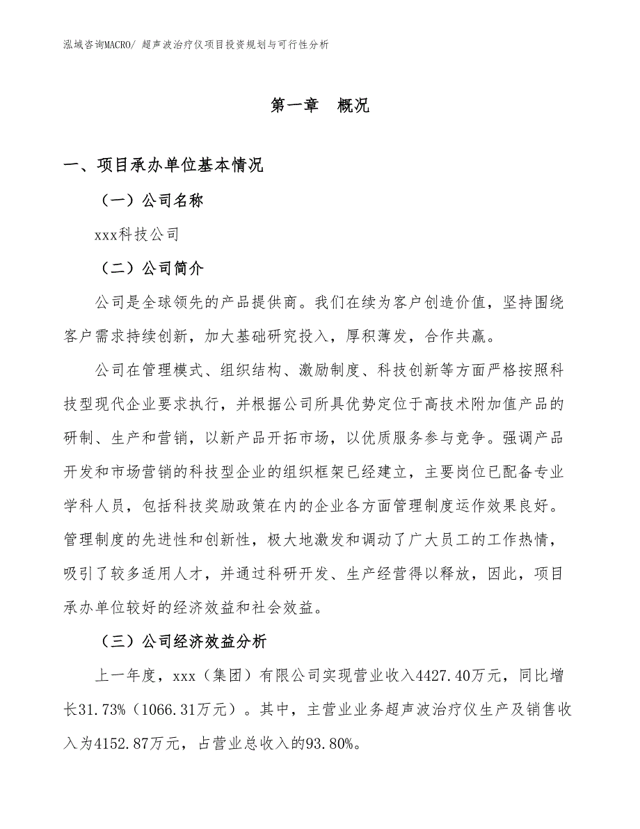 超声波治疗仪项目投资规划与可行性分析_第2页