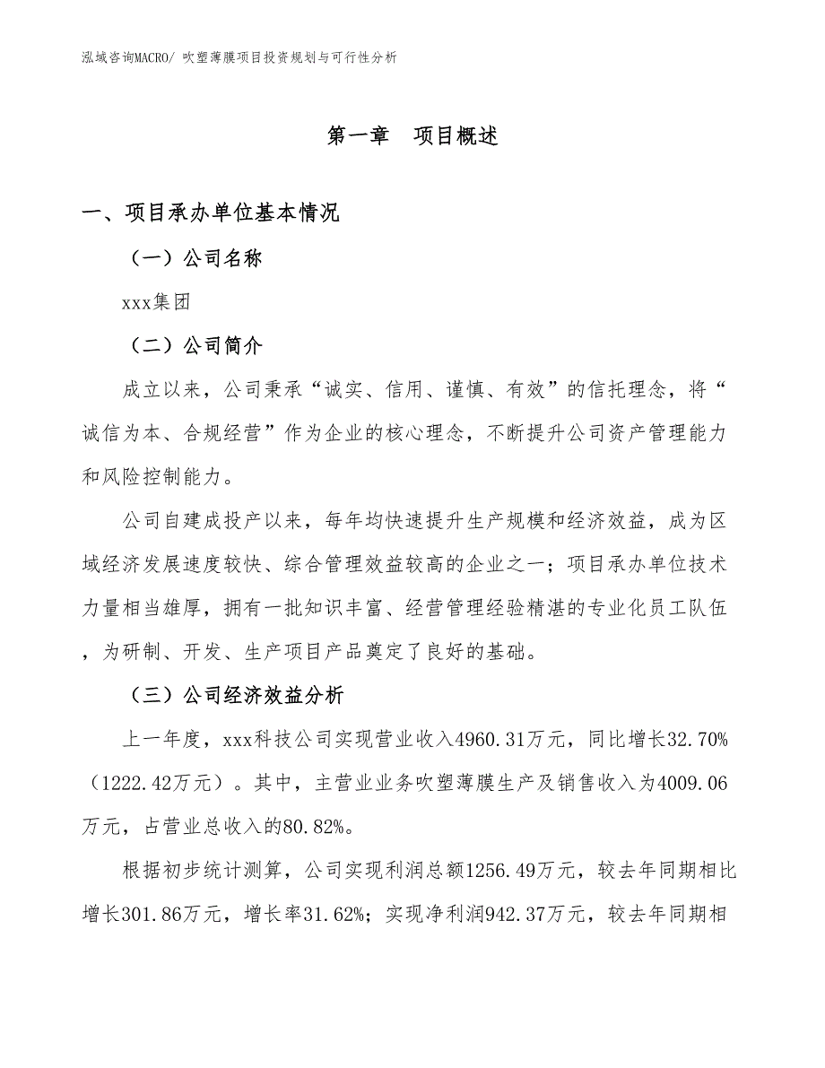 吹塑薄膜项目投资规划与可行性分析_第3页