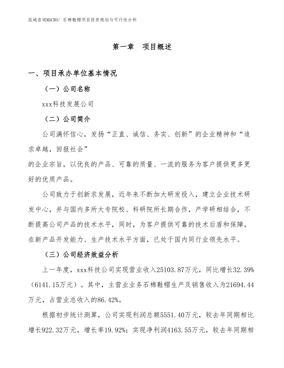 石棉鞋帽项目投资规划与可行性分析_第2页