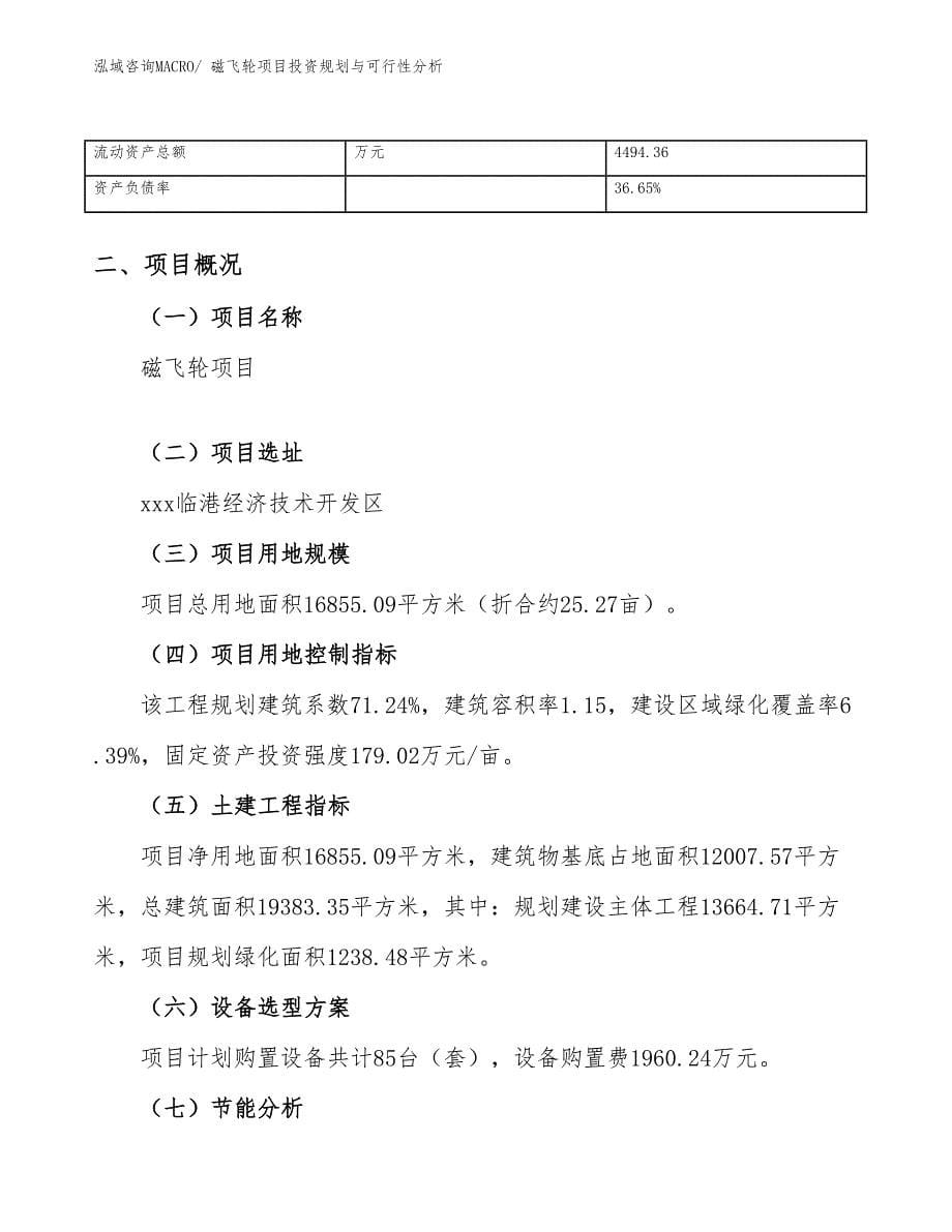 磁飞轮项目投资规划与可行性分析_第5页