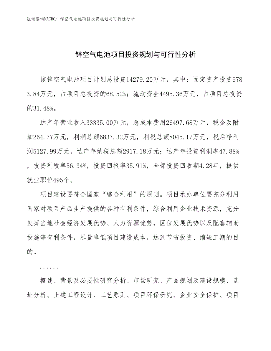 锌空气电池项目投资规划与可行性分析_第1页