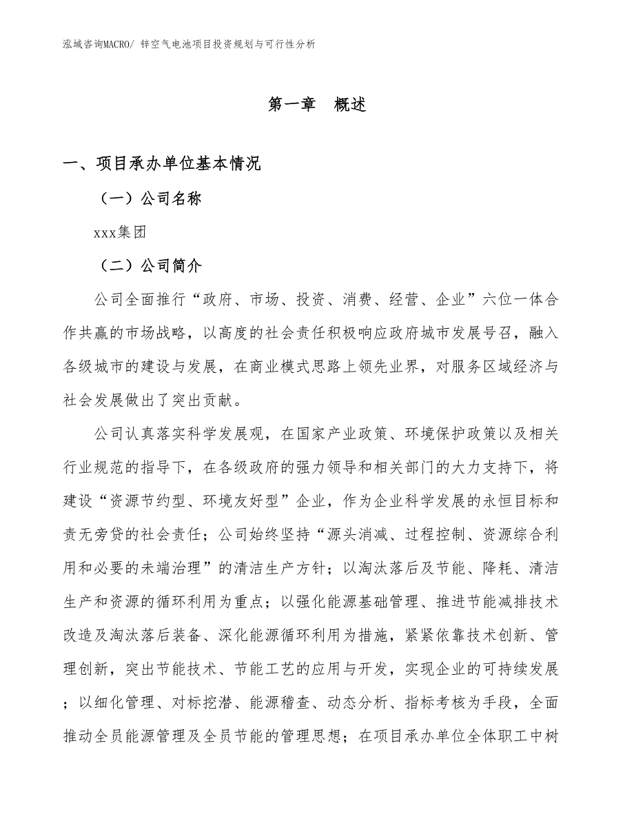 锌空气电池项目投资规划与可行性分析_第3页