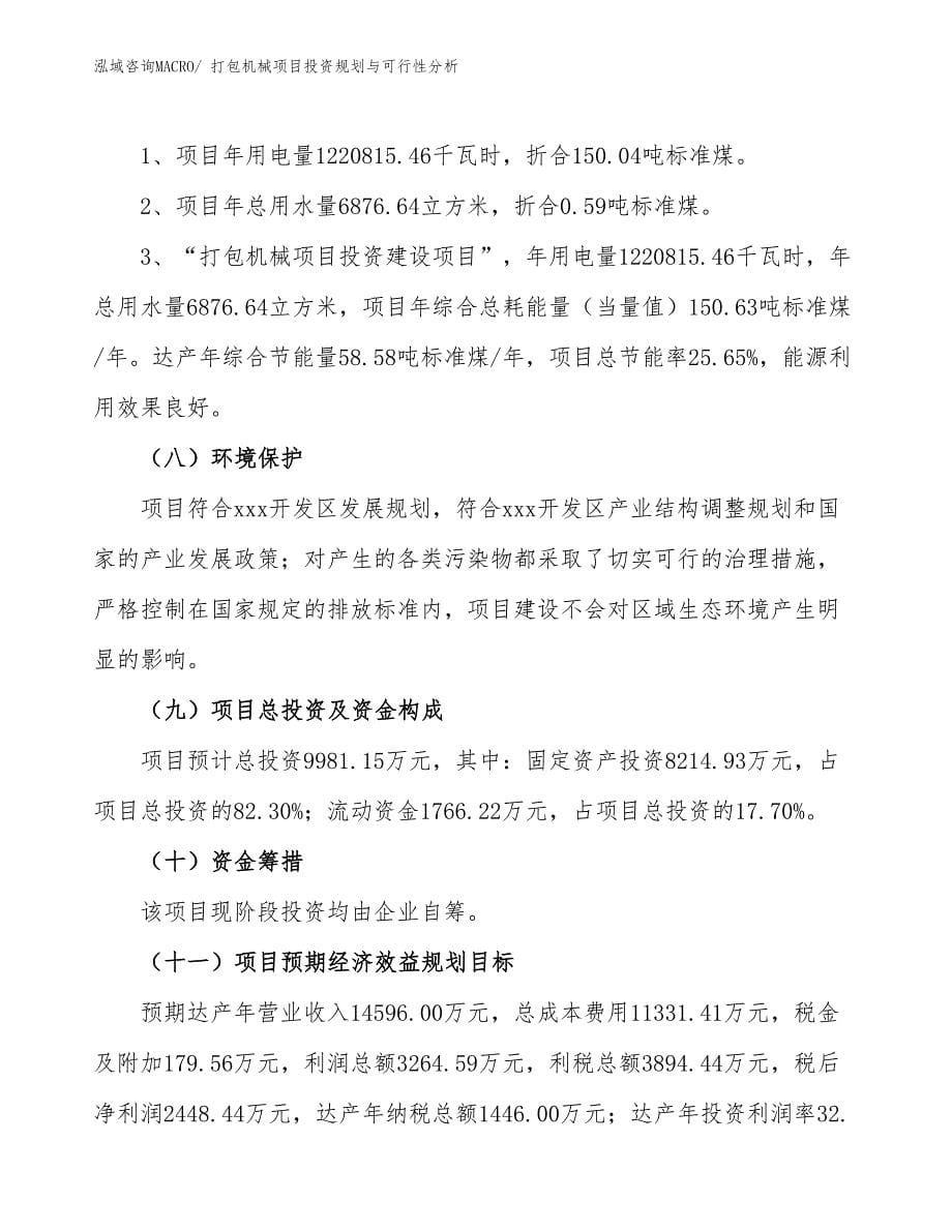 打包机械项目投资规划与可行性分析_第5页