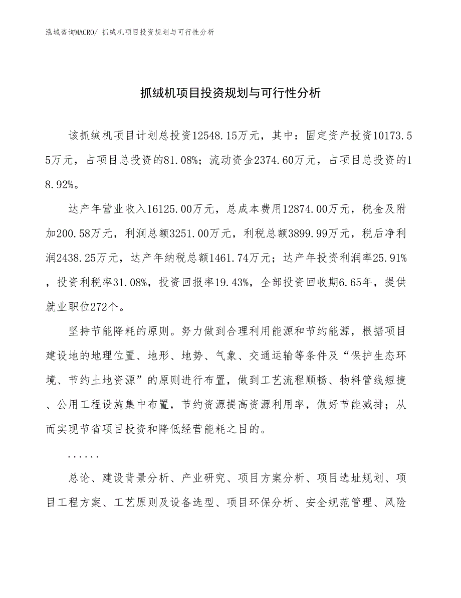 抓绒机项目投资规划与可行性分析_第1页