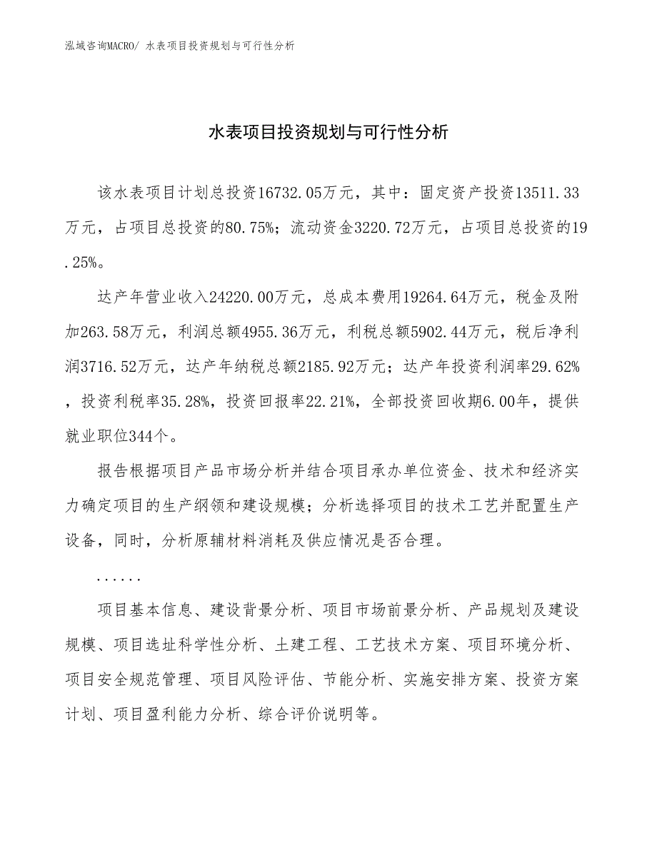 水表项目投资规划与可行性分析_第1页