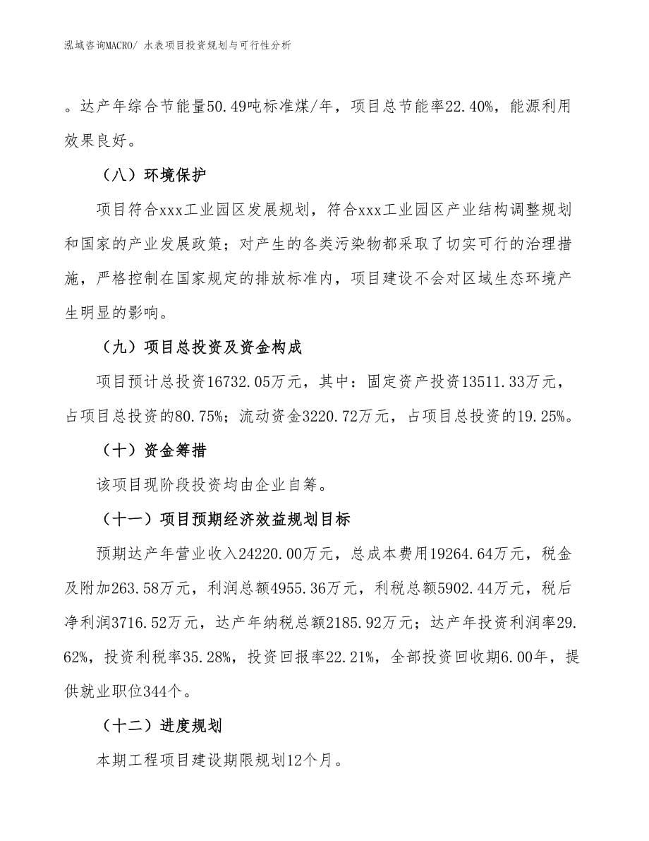 水表项目投资规划与可行性分析_第5页