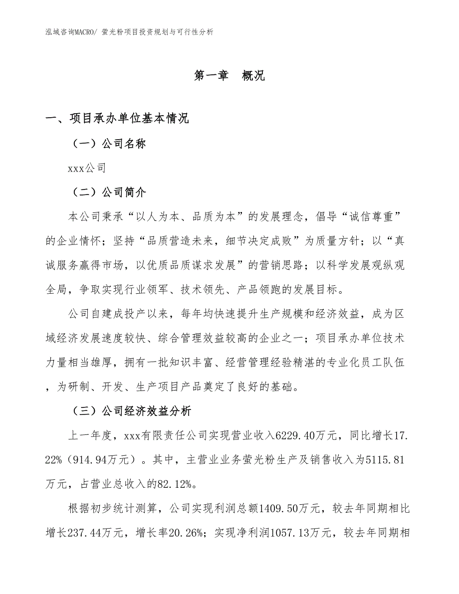 萤光粉项目投资规划与可行性分析_第2页