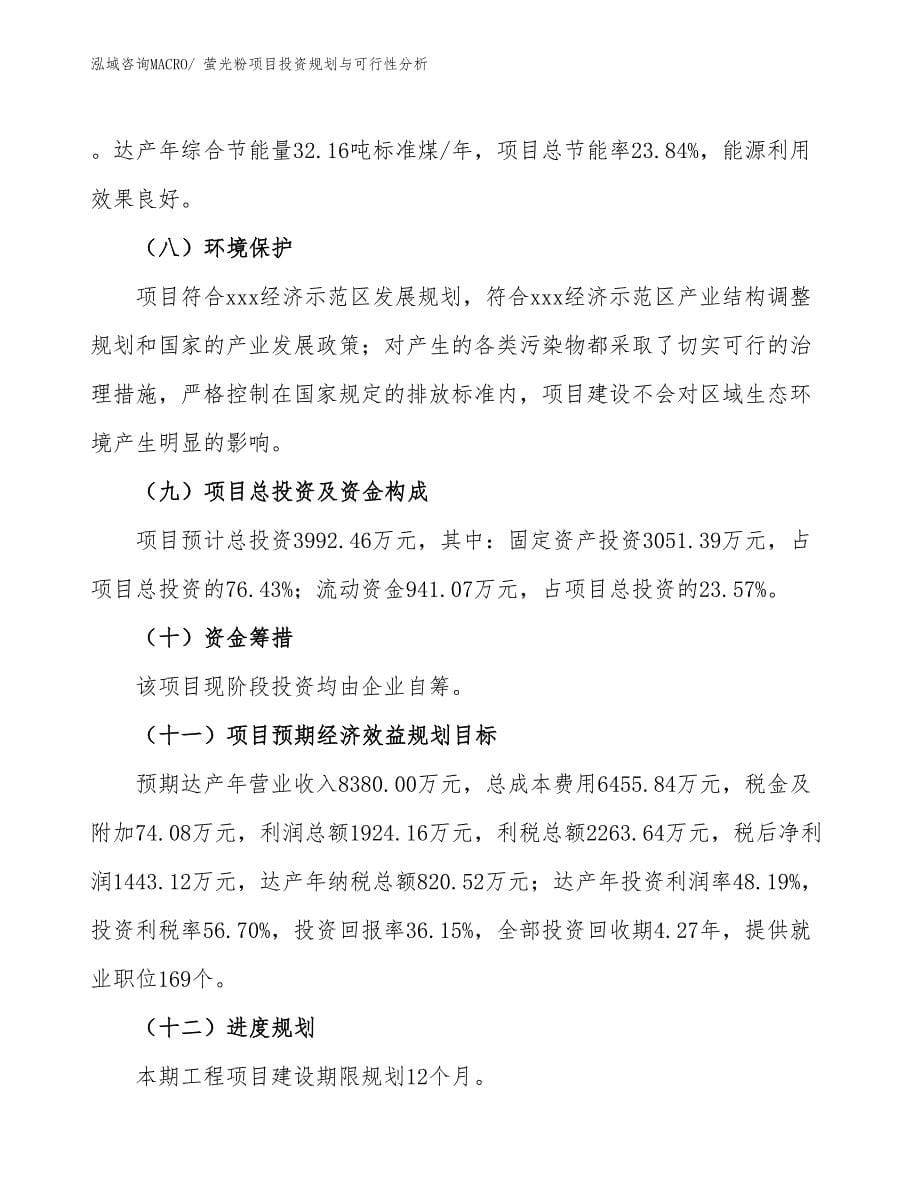 萤光粉项目投资规划与可行性分析_第5页