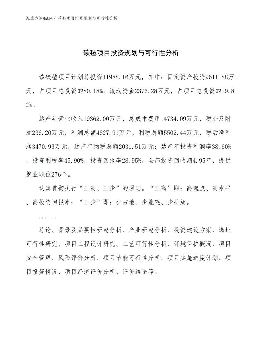 碳毡项目投资规划与可行性分析_第1页