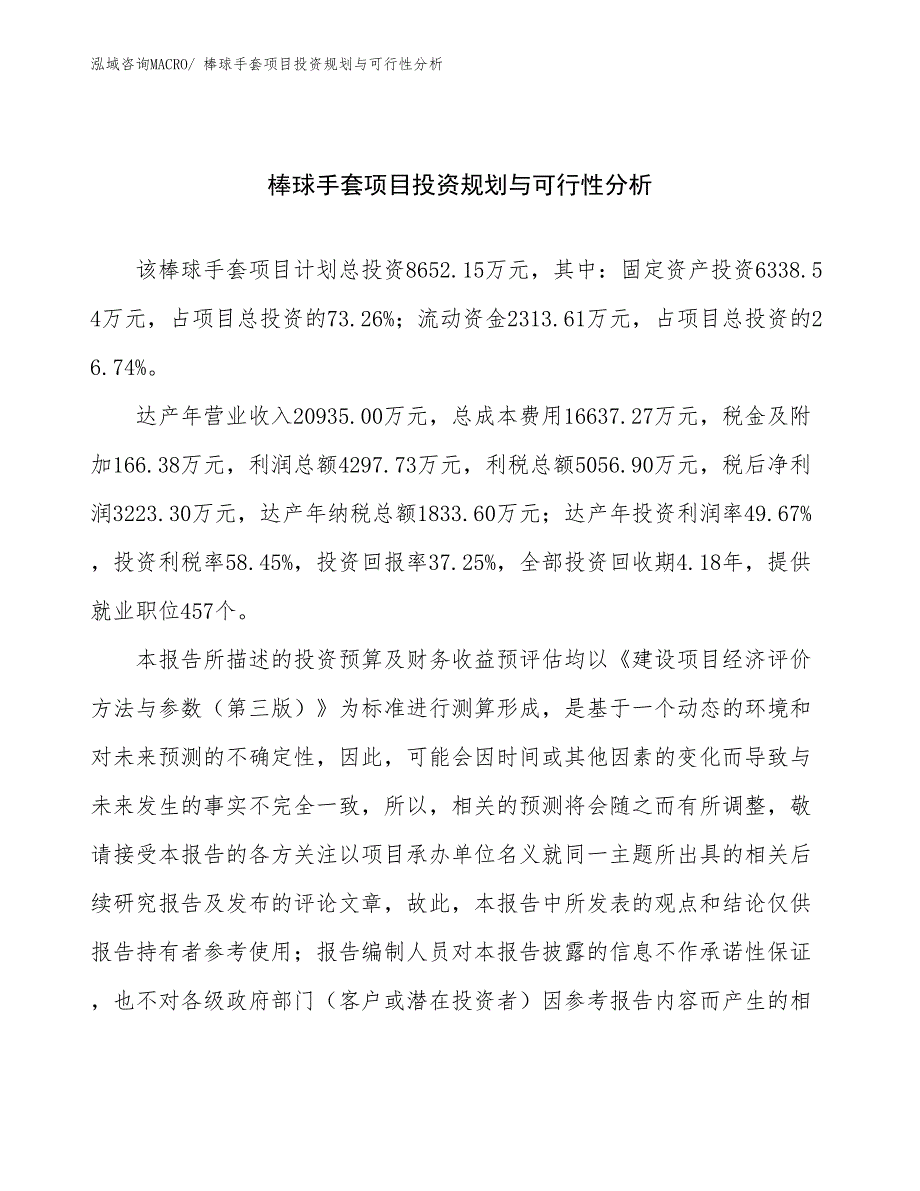 棒球手套项目投资规划与可行性分析_第1页