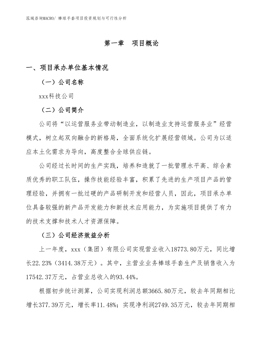 棒球手套项目投资规划与可行性分析_第3页