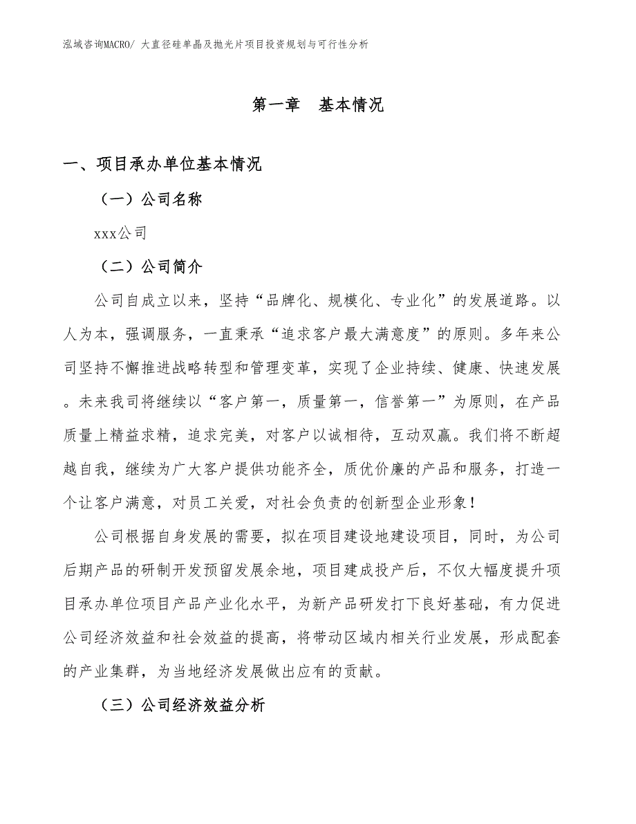 大直径硅单晶及抛光片项目投资规划与可行性分析_第3页