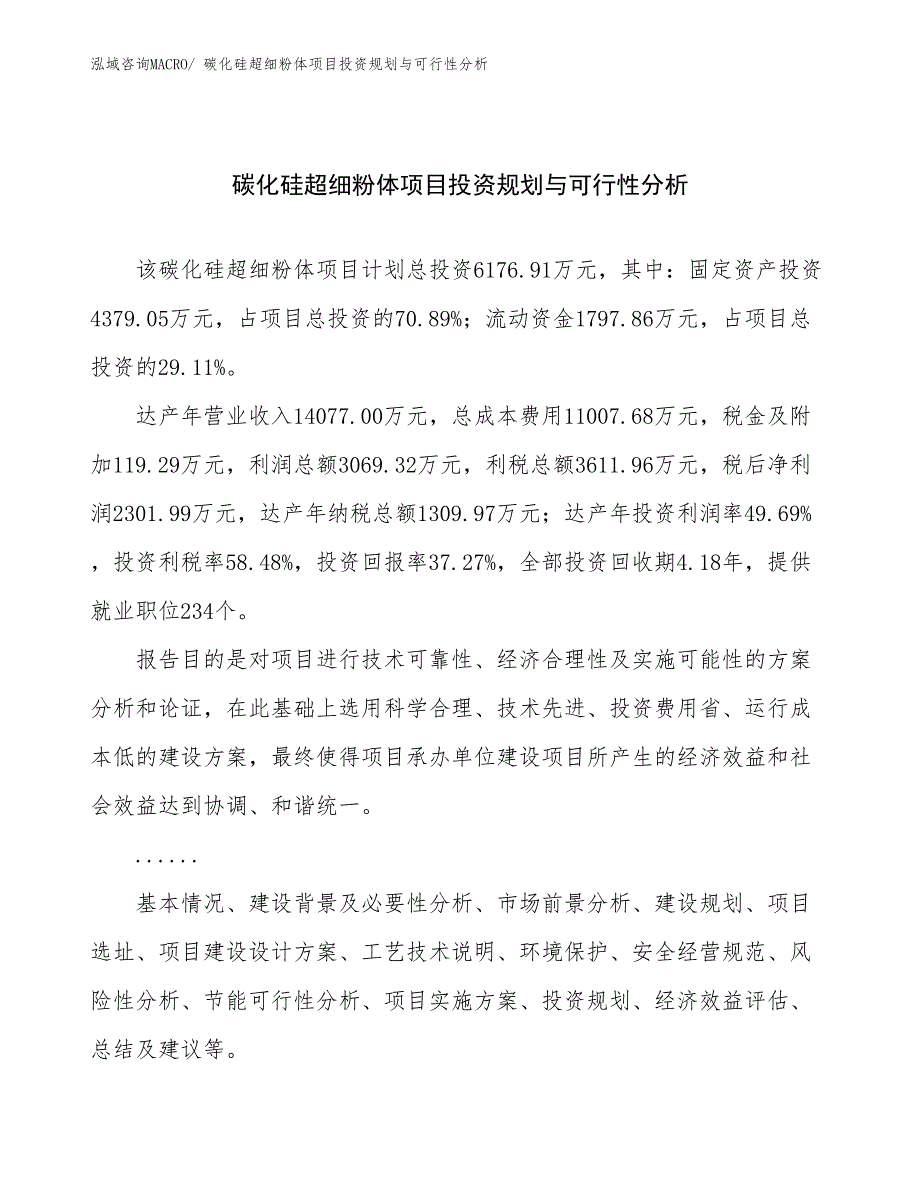 碳化硅超细粉体项目投资规划与可行性分析_第1页