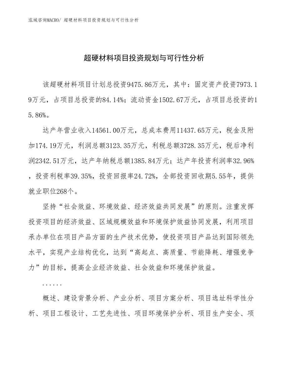 超硬材料项目投资规划与可行性分析 (1)_第1页