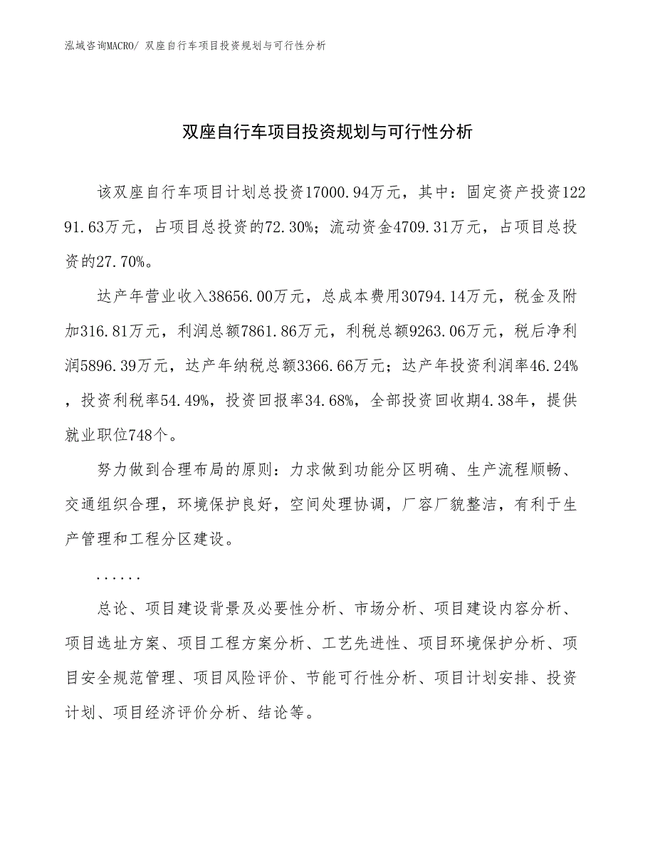 双座自行车项目投资规划与可行性分析 (1)_第1页