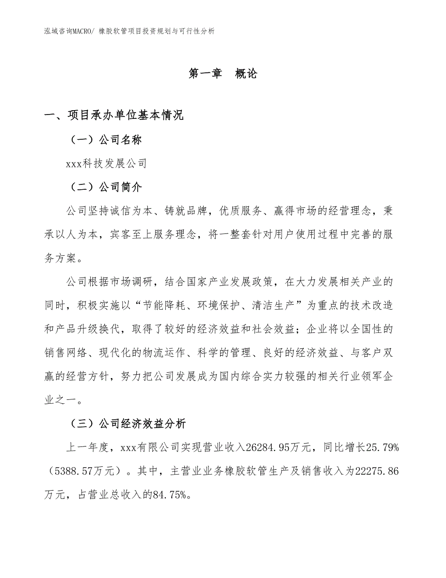 橡胶软管项目投资规划与可行性分析_第3页