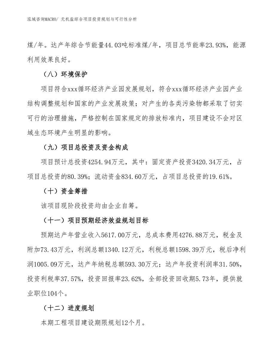 无机盐综合项目投资规划与可行性分析_第5页