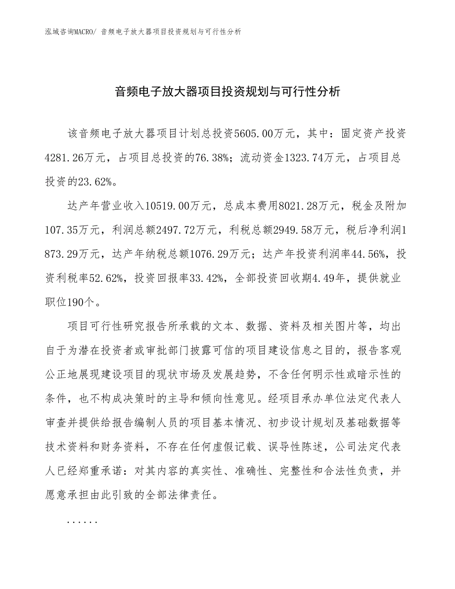 音频电子放大器项目投资规划与可行性分析_第1页