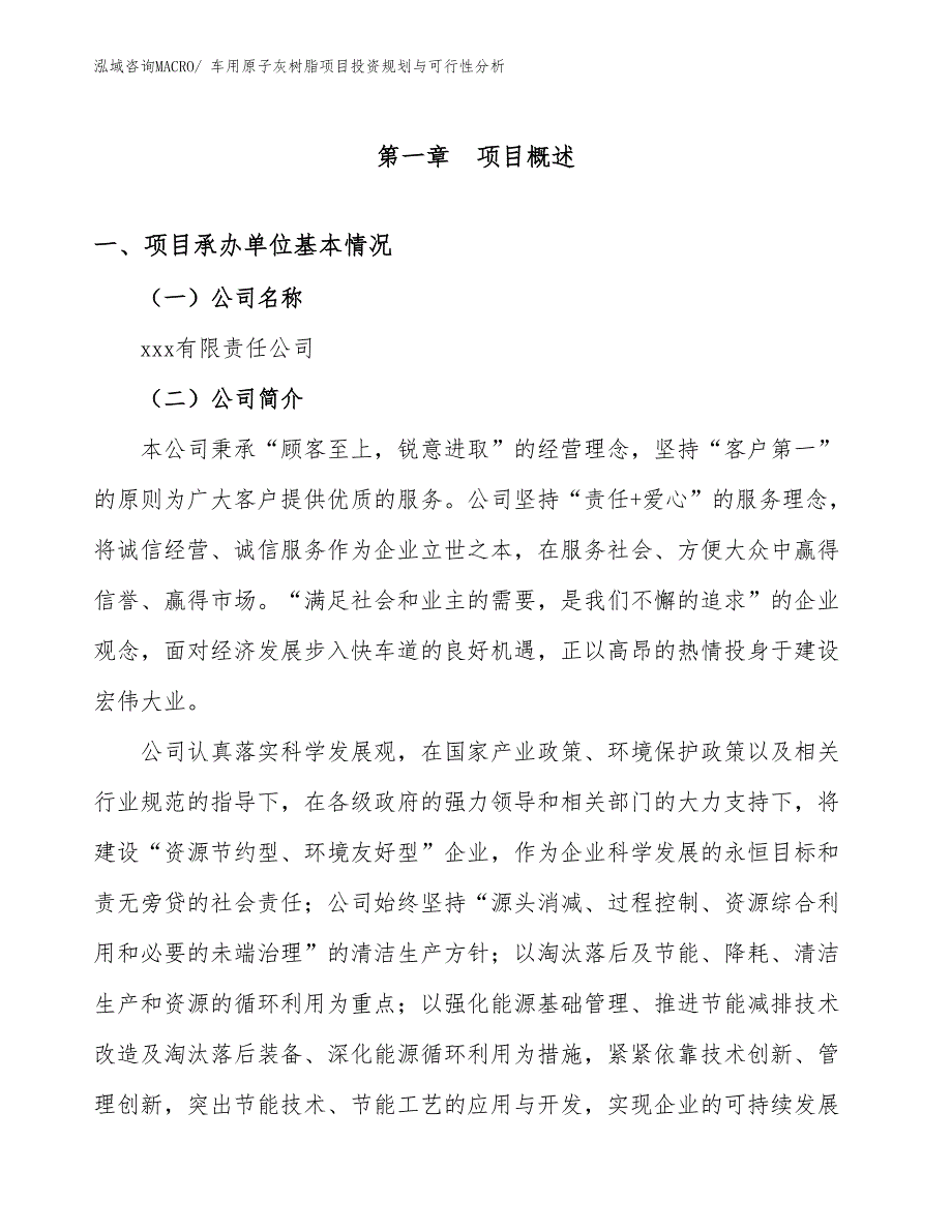 车用原子灰树脂项目投资规划与可行性分析_第3页