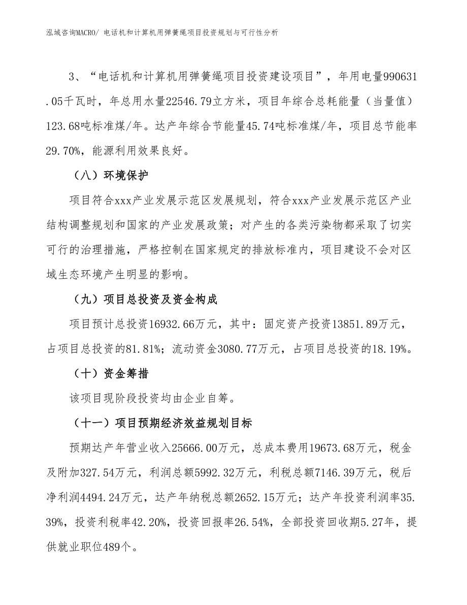 电话机和计算机用弹簧绳项目投资规划与可行性分析_第5页