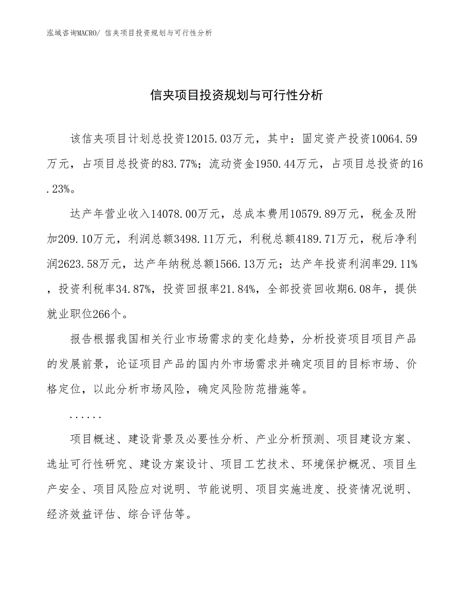 信夹项目投资规划与可行性分析_第1页