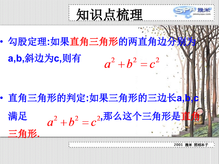 《知识点梳理》ppt课件_第2页