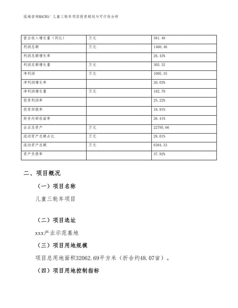 儿童三轮车项目投资规划与可行性分析_第5页