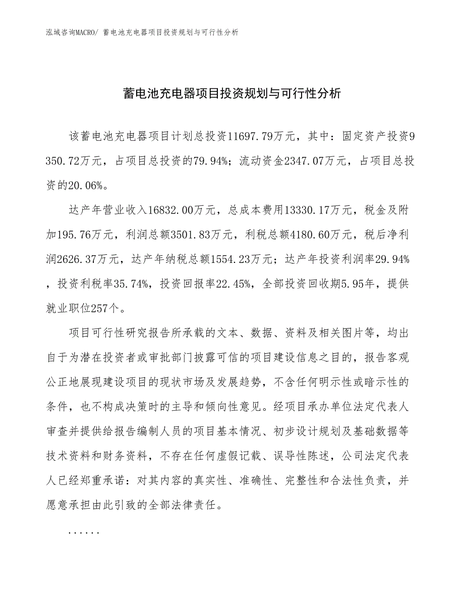 蓄电池充电器项目投资规划与可行性分析_第1页