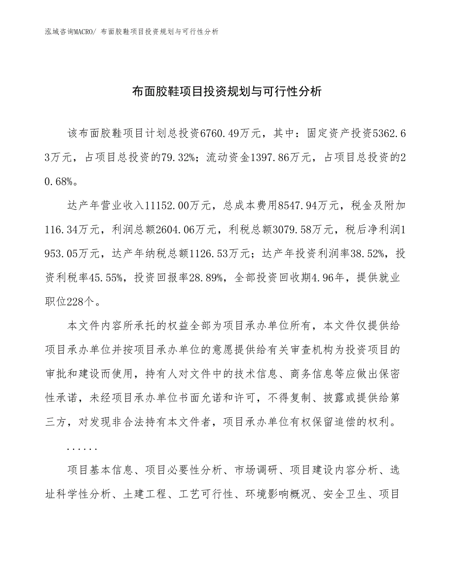 布面胶鞋项目投资规划与可行性分析_第1页