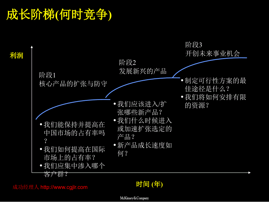 麦肯锡德隆成长阶梯规划实施讨论_第2页