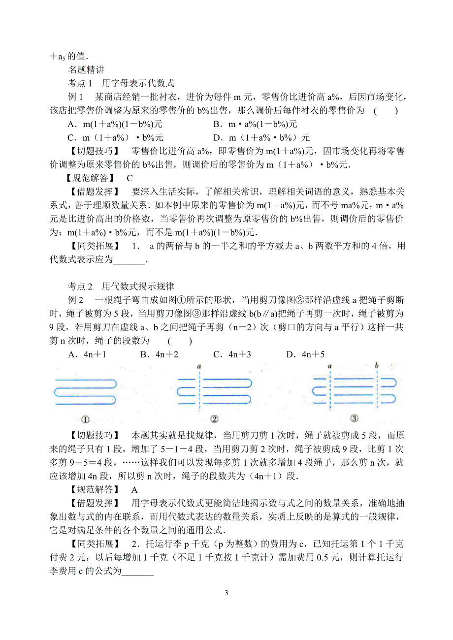 中考数学《整式的加减》专题复习考点讲解(含答案)_第3页