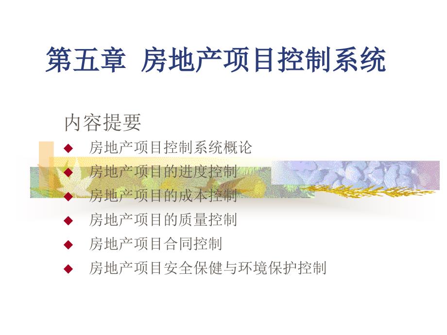 房地产项目控制系统教学_第1页