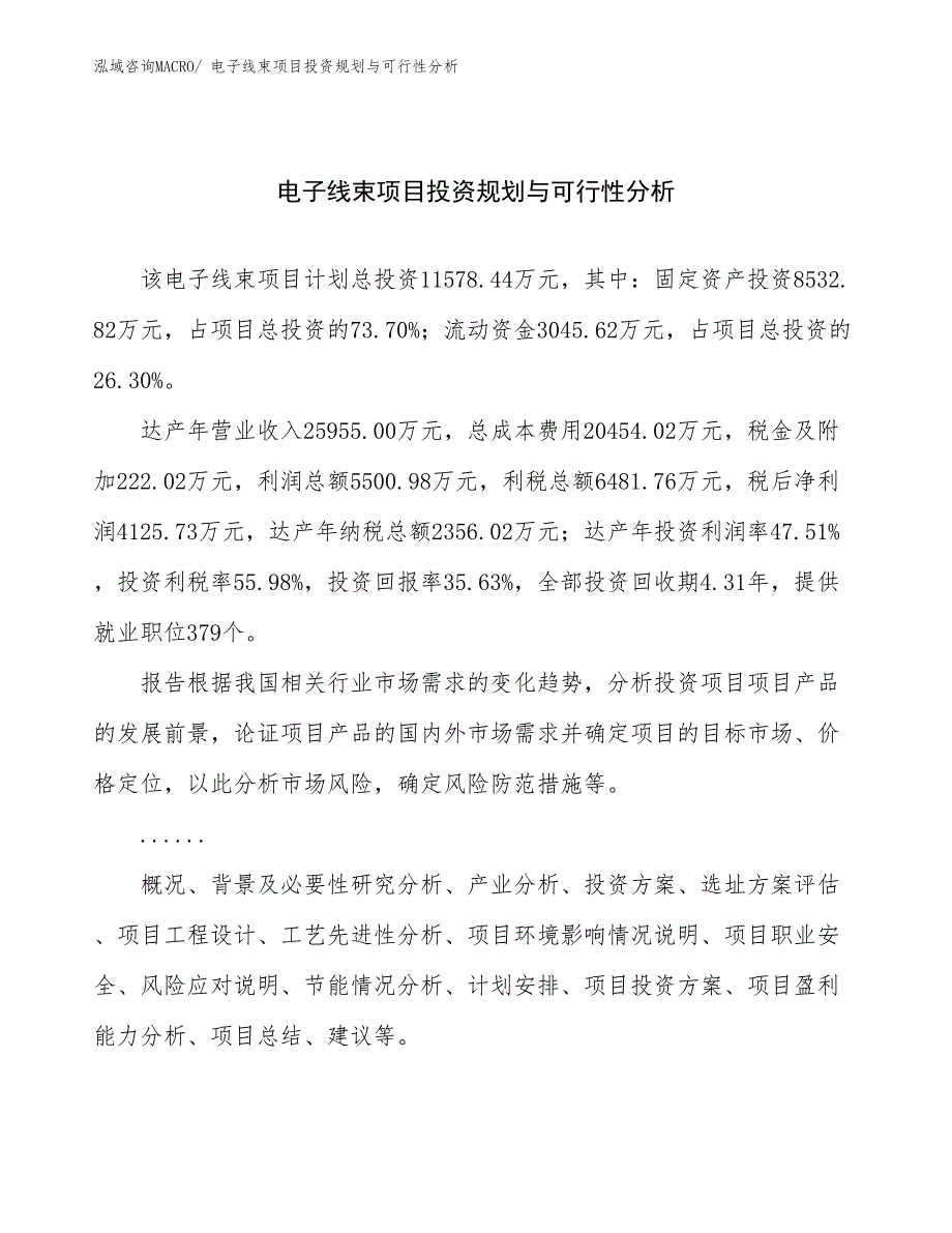 电子线束项目投资规划与可行性分析_第1页