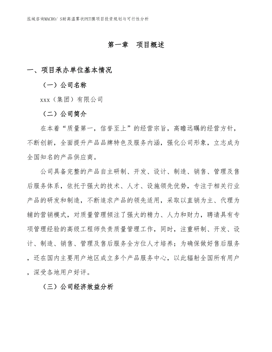 S耐高温雾状PET膜项目投资规划与可行性分析_第3页