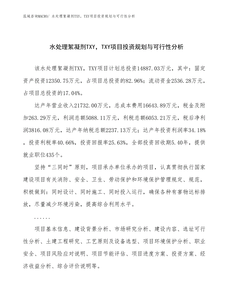 水处理絮凝剂TXY，TXY项目投资规划与可行性分析_第1页