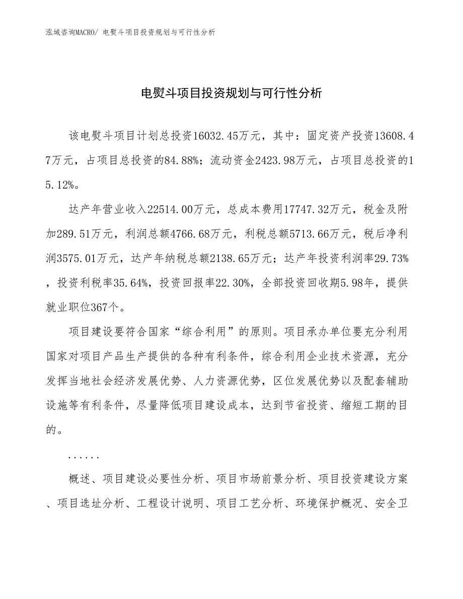 电熨斗项目投资规划与可行性分析_第1页