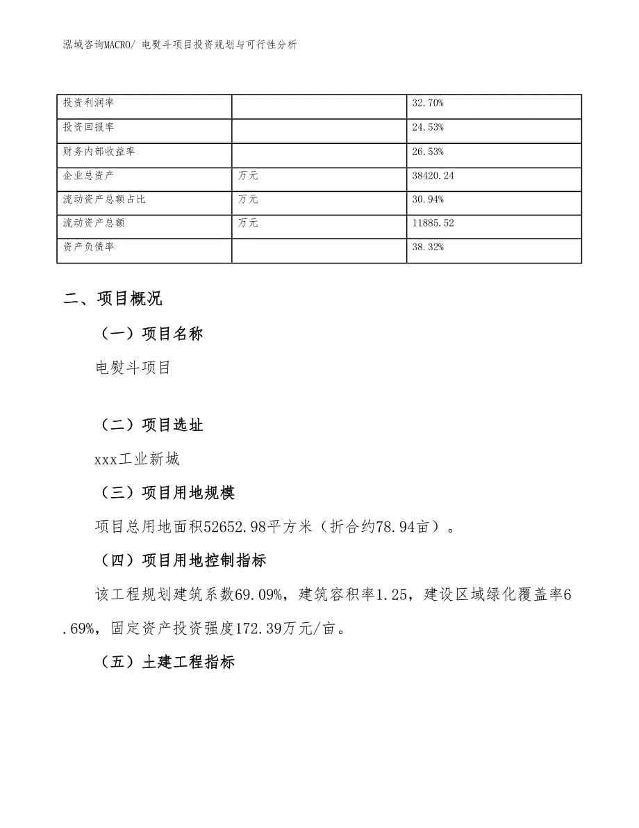 电熨斗项目投资规划与可行性分析_第5页