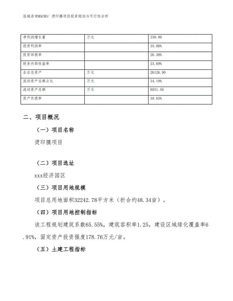 烫印膜项目投资规划与可行性分析_第5页