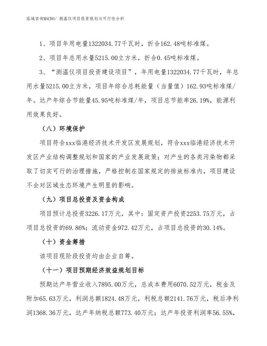 测温仪项目投资规划与可行性分析_第5页