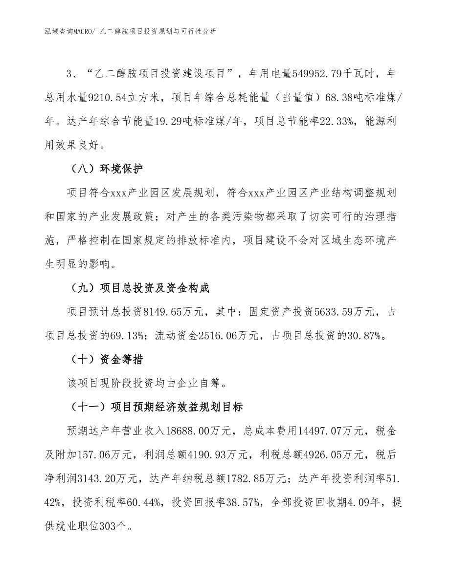 乙二醇胺项目投资规划与可行性分析_第5页