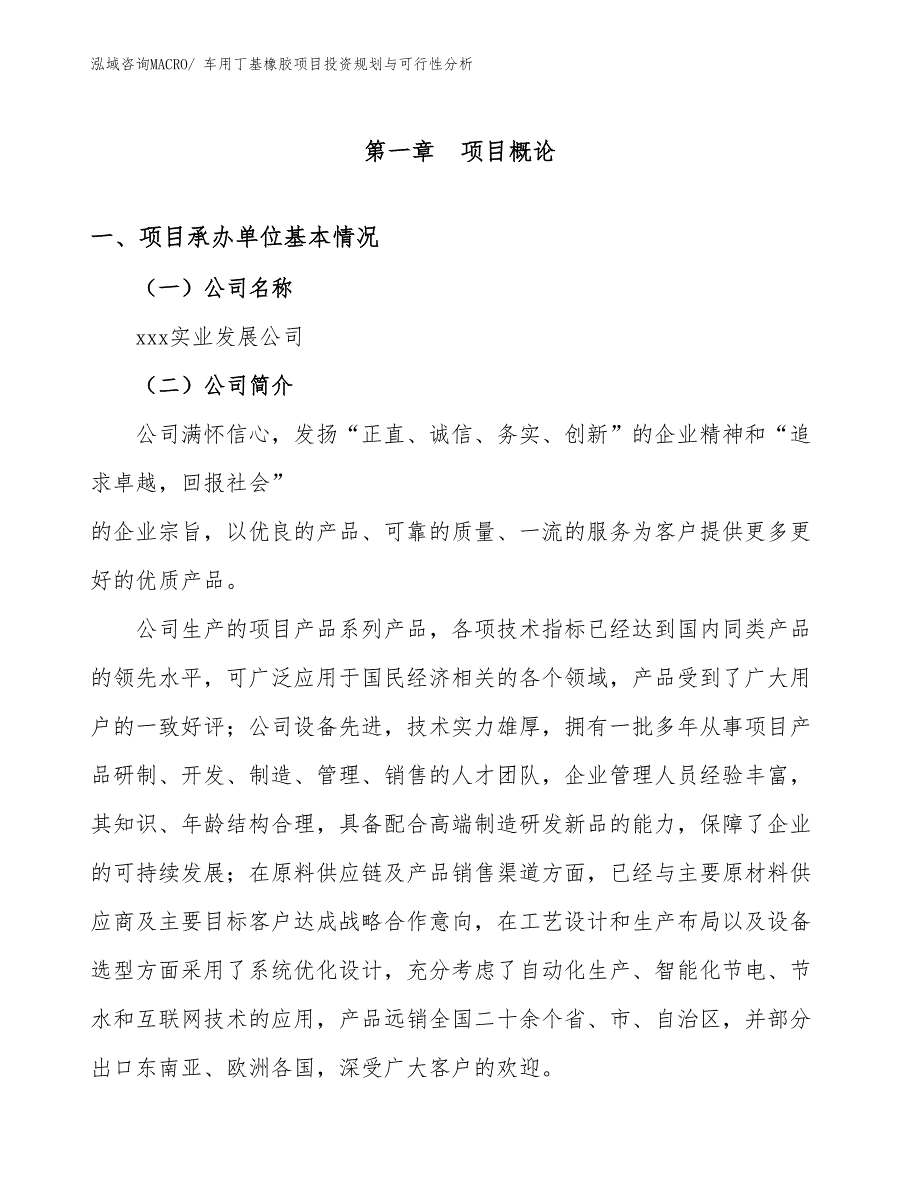 车用丁基橡胶项目投资规划与可行性分析_第3页