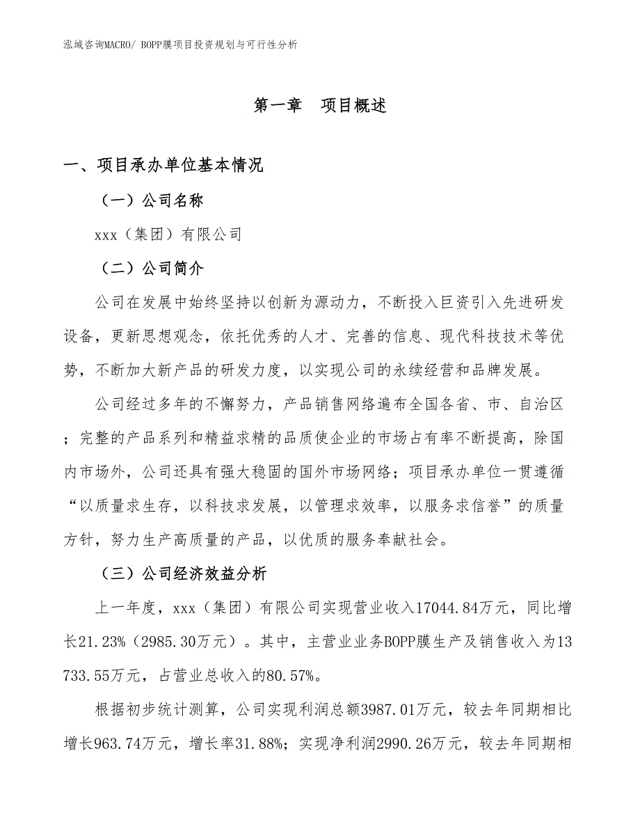 BOPP膜项目投资规划与可行性分析_第3页